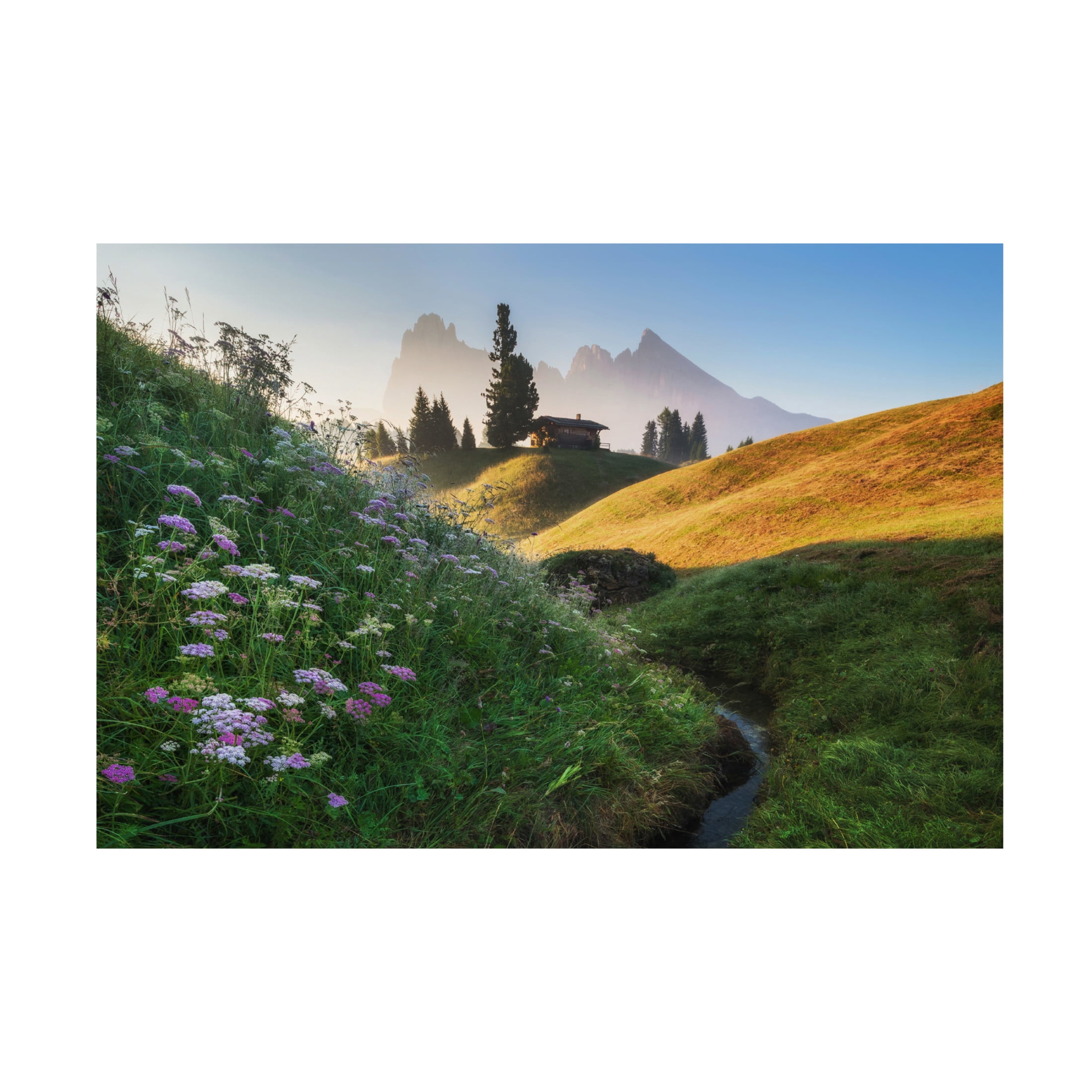 Canvas Wall Art - Ales Krivec 'Flowery Morning' Wall Art for Living Room, Bedroom, or Office Décor by Trademark Fine Art - 47 x 30 Inches