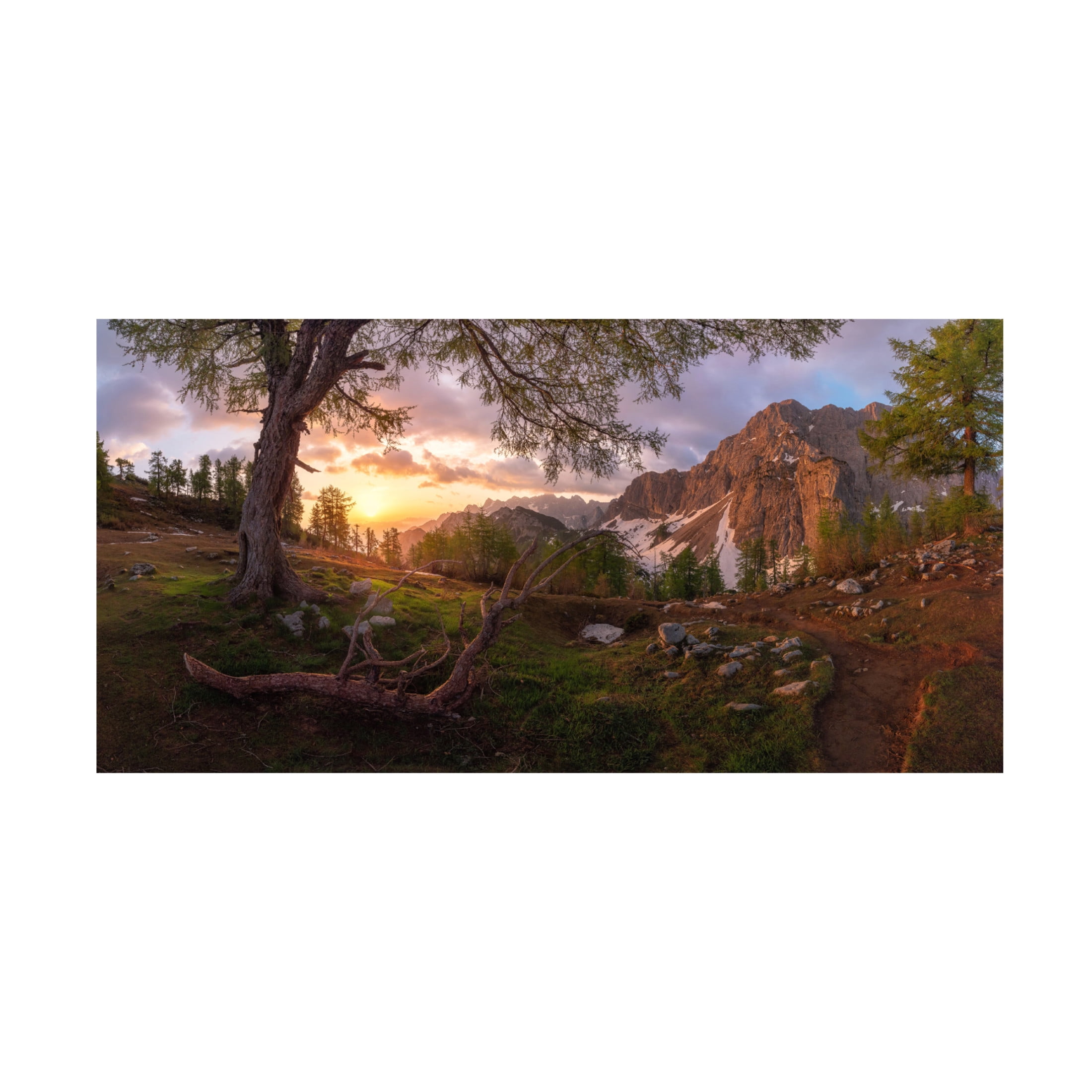 Canvas Wall Art - Ales Krivec 'Magical Morning' Wall Art for Living Room, Bedroom, or Office D?cor by Trademark Fine Art - 24 x 12 Inches