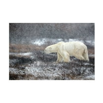 Canvas Wall Art - Alessandro Catta 'Snowing Time' Wall Art for Living Room, Bedroom, or Office Décor by Trademark Fine Art - 19 x 12 Inches