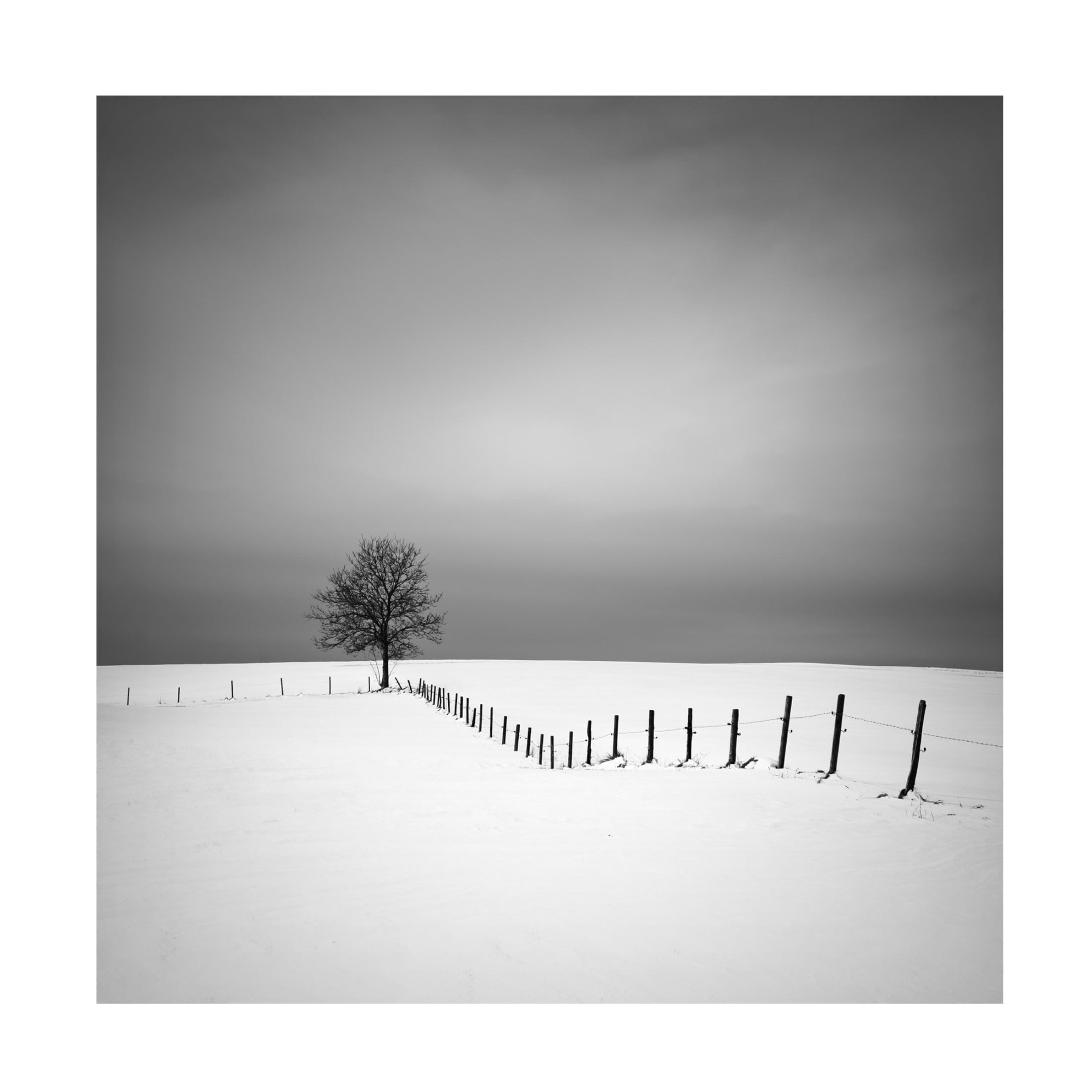 Canvas Wall Art - Alexej Schulz 'Alignment' Wall Art for Living Room, Bedroom, or Office Décor by Trademark Fine Art - 35 x 35 Inches