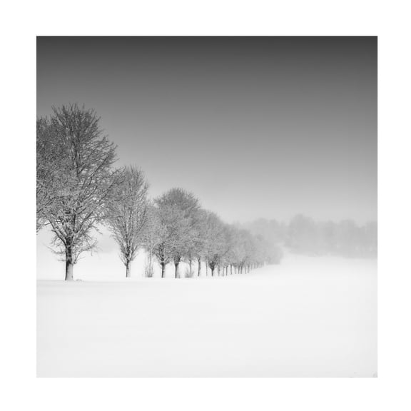 Canvas Wall Art - Alexej Schulz 'Formation' Wall Art for Living Room, Bedroom, or Office D?cor by Trademark Fine Art - 14 x 14 Inches