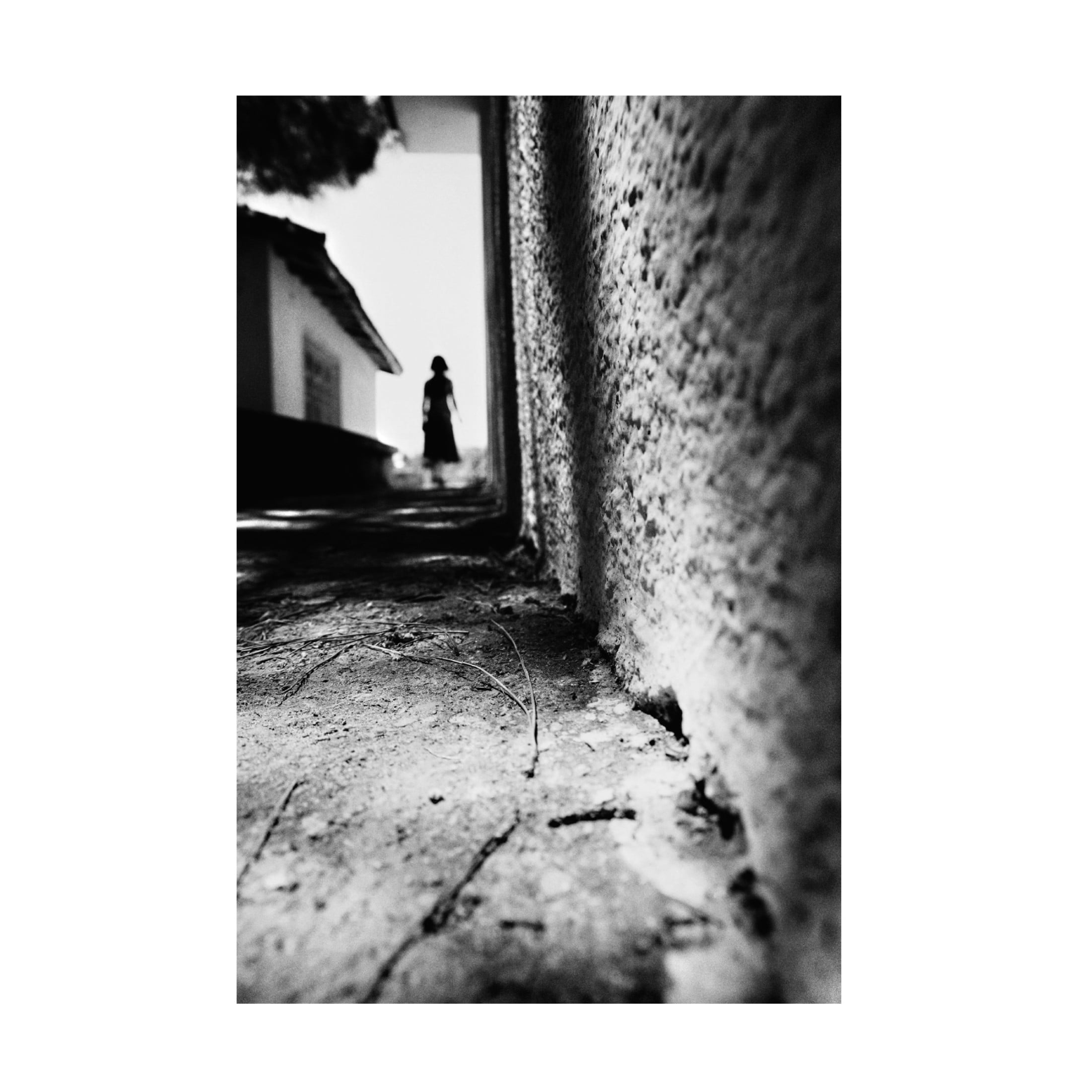 Canvas Wall Art - Ali Ayer 'Alley' Wall Art for Living Room, Bedroom, or Office D?cor by Trademark Fine Art - 16 x 24 Inches