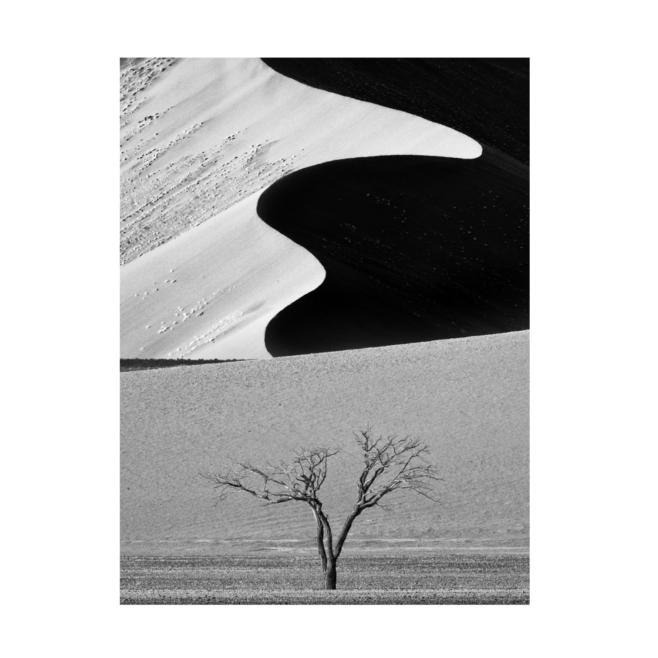 Canvas Wall Art - Ali Khataw 'Dune Curves' Wall Art for Living Room, Bedroom, or Office D?cor by Trademark Fine Art - 24 x 32 Inches
