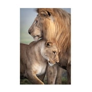 Canvas Wall Art - Ali Khataw 'Wild Love' Wall Art for Living Room, Bedroom, or Office Décor by Trademark Fine Art - 12 x 19 Inches