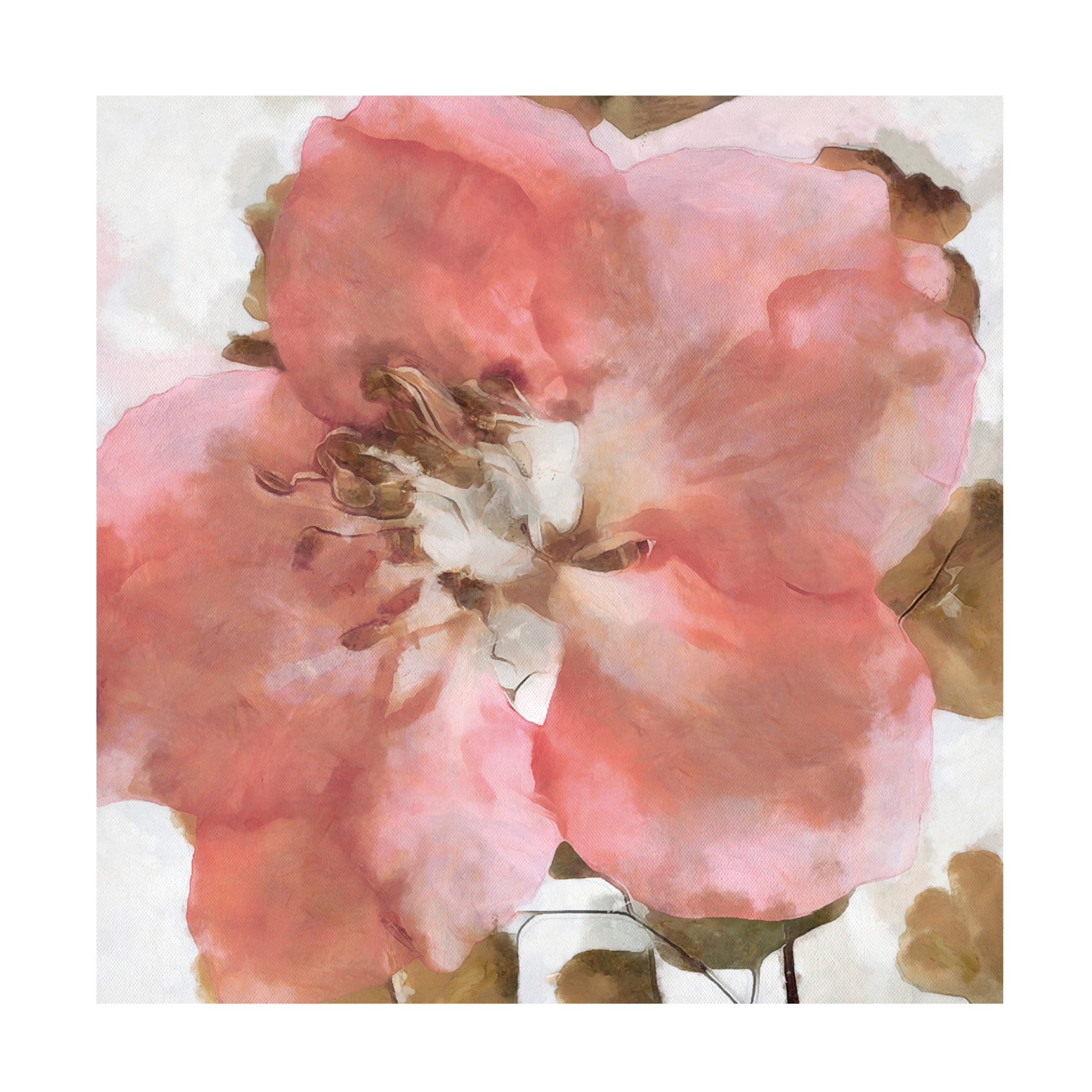Canvas Wall Art - Alonzo Saunders 'Delicateness I' Wall Art for Living Room, Bedroom, or Office Décor by Trademark Fine Art - 35 x 35 Inches