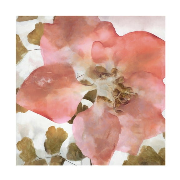 Canvas Wall Art - Alonzo Saunders 'Delicateness II' Wall Art for Living Room, Bedroom, or Office Décor by Trademark Fine Art - 14 x 14 Inches