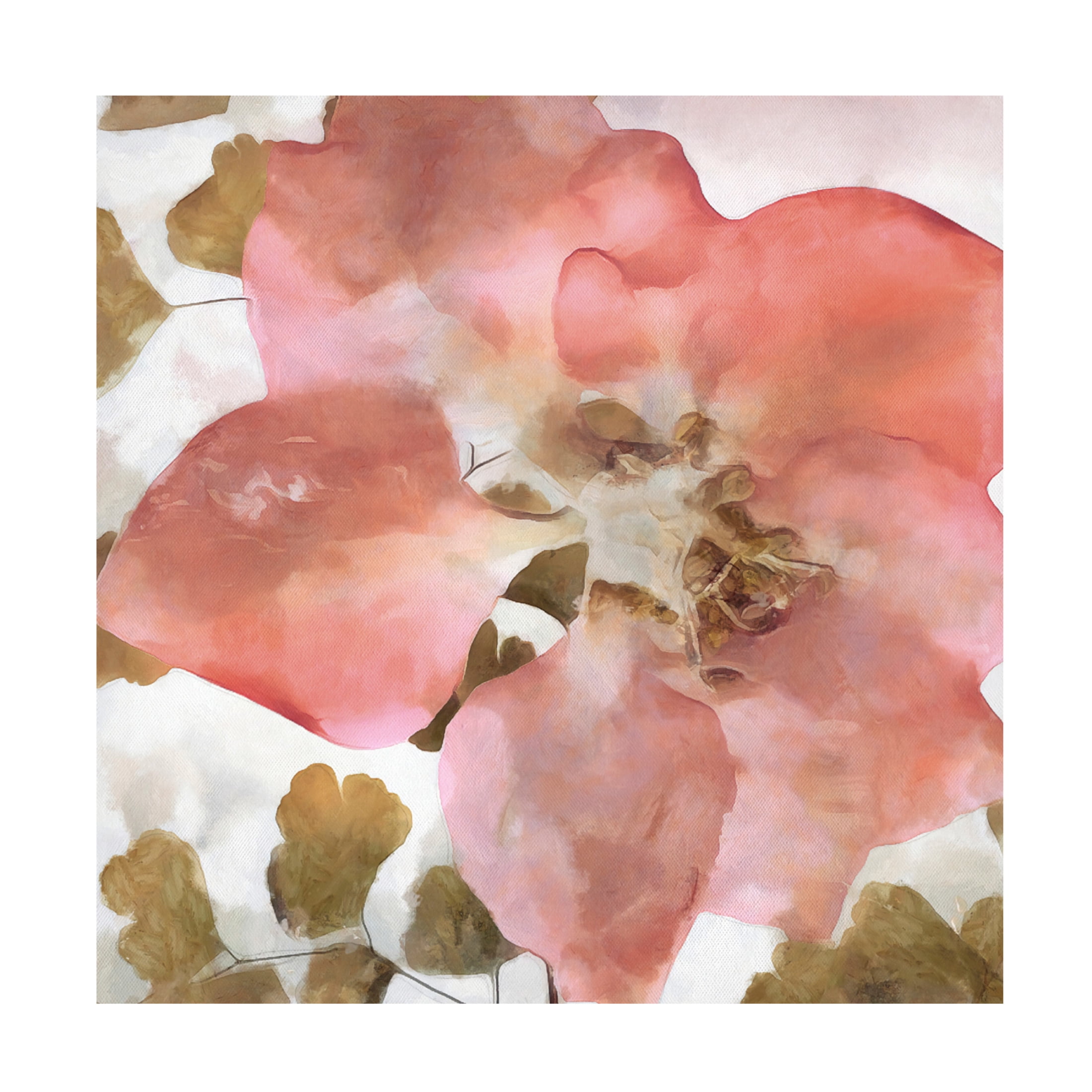 Canvas Wall Art - Alonzo Saunders 'Delicateness II' Wall Art for Living Room, Bedroom, or Office Décor by Trademark Fine Art - 35 x 35 Inches