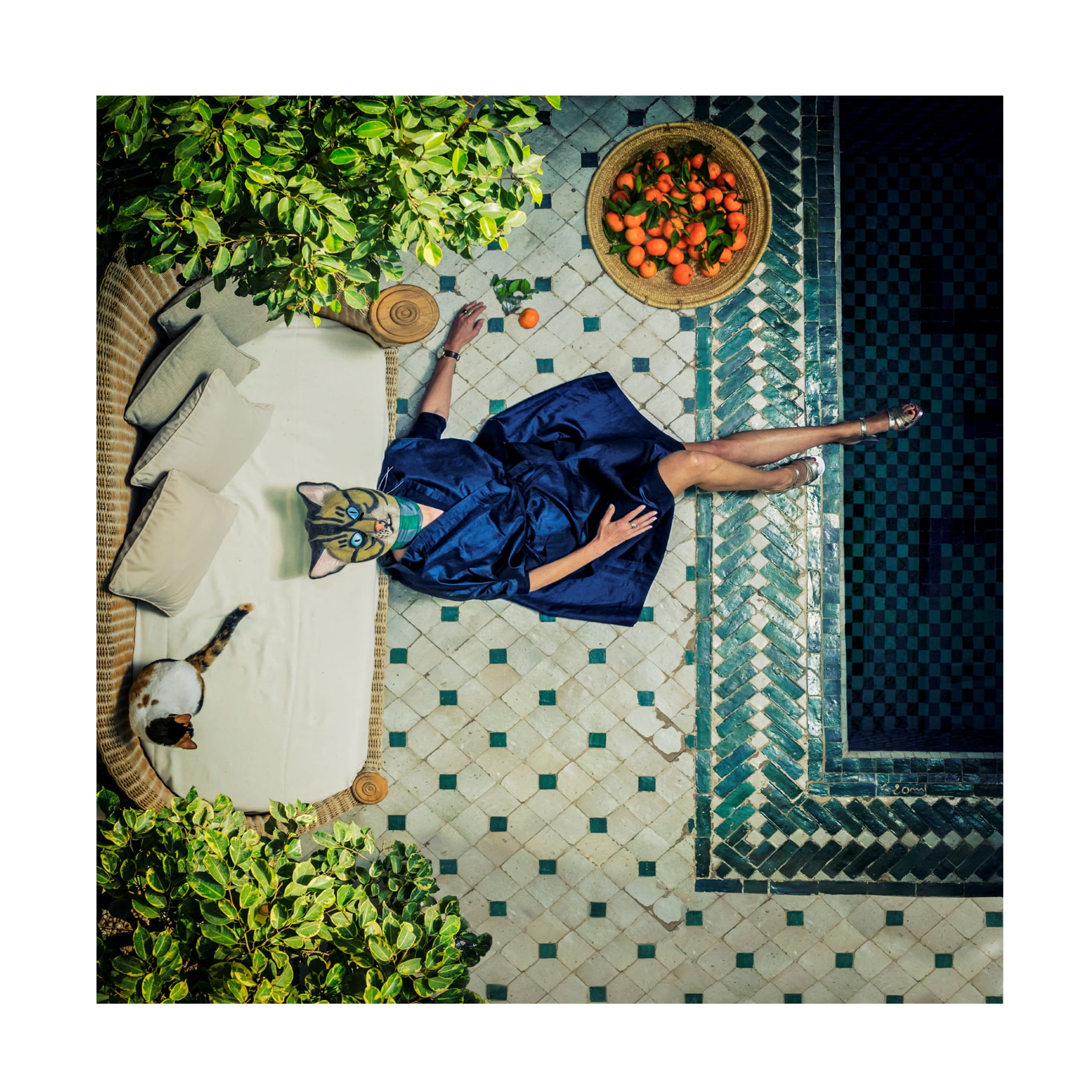 Canvas Wall Art - Ambra  'Have A Break' Wall Art for Living Room, Bedroom, or Office D?cor by Trademark Fine Art - 24 x 24 Inches