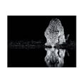 thumbnail image 1 of Canvas Wall Art - Amnon Eichelberg 'Cheetah Still' Wall Art for Living Room, Bedroom, or Office D?cor by Trademark Fine Art - 47 x 35 Inches, 1 of 4
