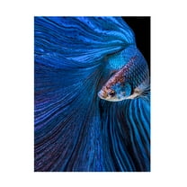 Canvas Wall Art - Andi Halil 'Blue Moon' Wall Art for Living Room, Bedroom, or Office Décor by Trademark Fine Art - 14 x 19 Inches