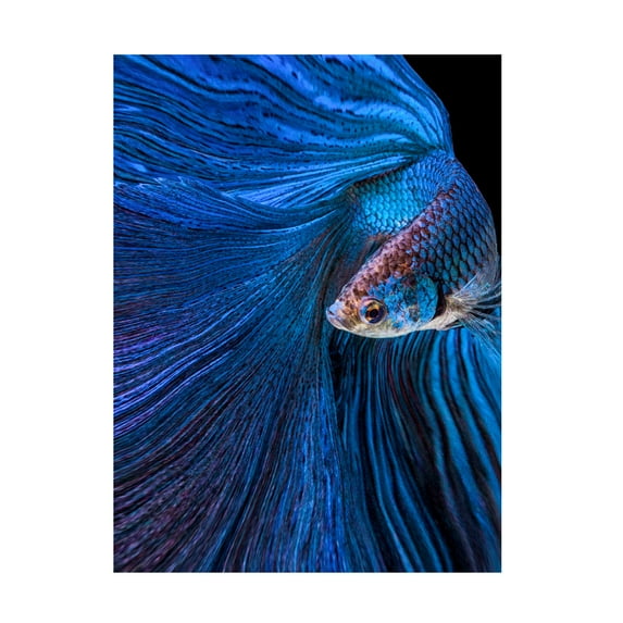 Canvas Wall Art - Andi Halil 'Blue Moon' Wall Art for Living Room, Bedroom, or Office Décor by Trademark Fine Art - 24 x 32 Inches