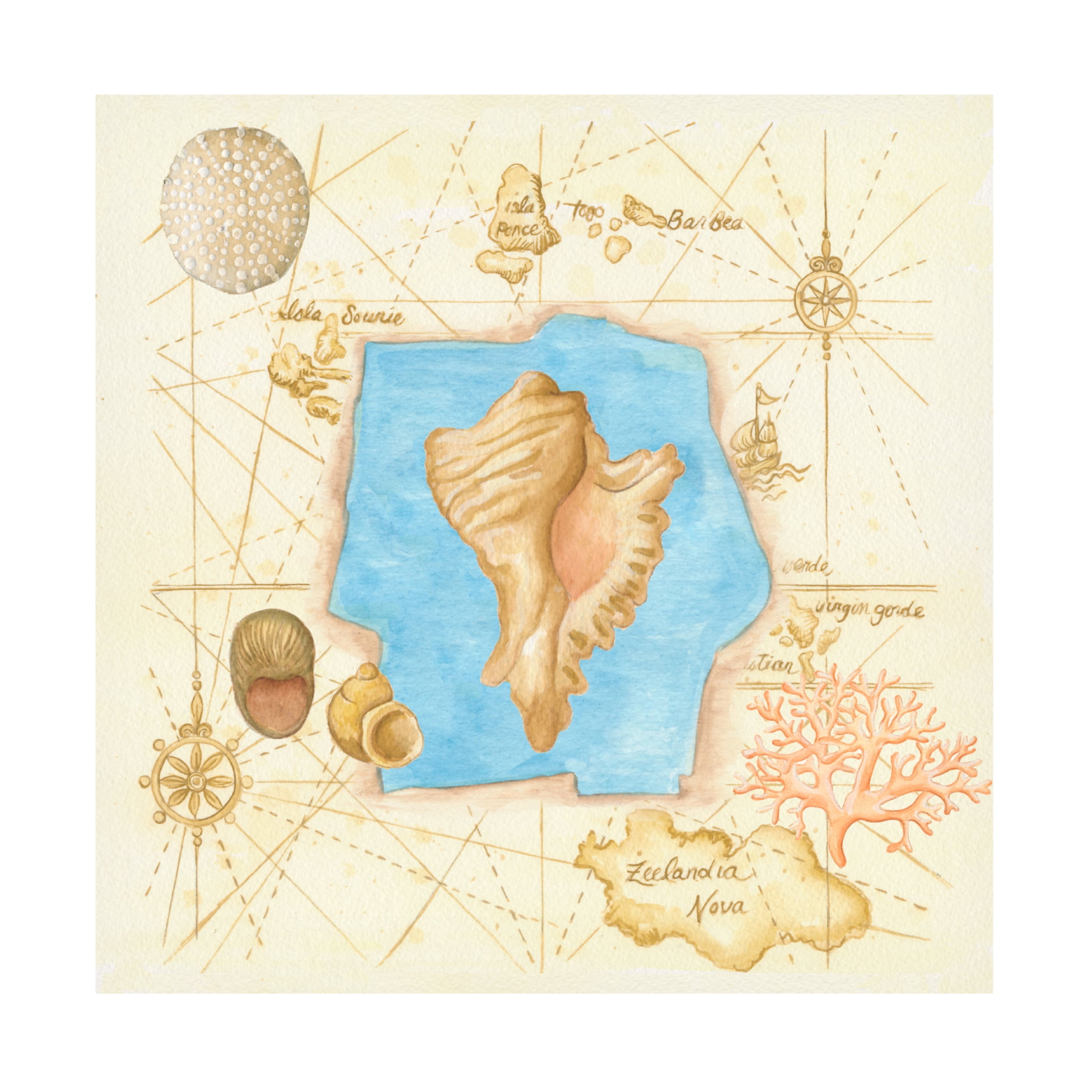 Canvas Wall Art - Andrea Strongwater 'Conch On Map' Wall Art for Living Room, Bedroom, or Office Décor by Trademark Fine Art - 18 x 18 Inches