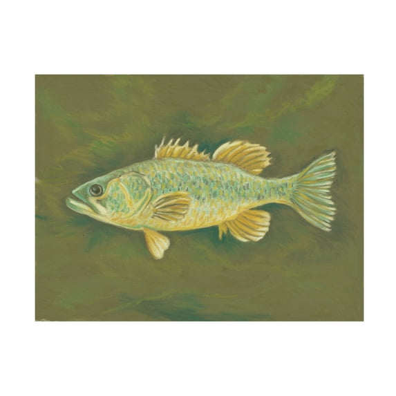 Canvas Wall Art - Andrea Strongwater 'Fish 1' Wall Art for Living Room, Bedroom, or Office Décor by Trademark Fine Art - 24 x 18 Inches