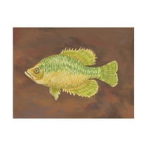Canvas Wall Art - Andrea Strongwater 'Fish 2' Wall Art for Living Room, Bedroom, or Office Décor by Trademark Fine Art - 19 x 14 Inches