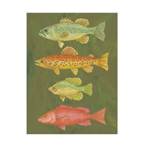 Canvas Wall Art - Andrea Strongwater 'Fish Chart Loden' Wall Art for Living Room, Bedroom, or Office Décor by Trademark Fine Art - 14 x 19 Inches