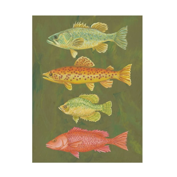 Canvas Wall Art - Andrea Strongwater 'Fish Chart Loden' Wall Art for Living Room, Bedroom, or Office Décor by Trademark Fine Art - 14 x 19 Inches