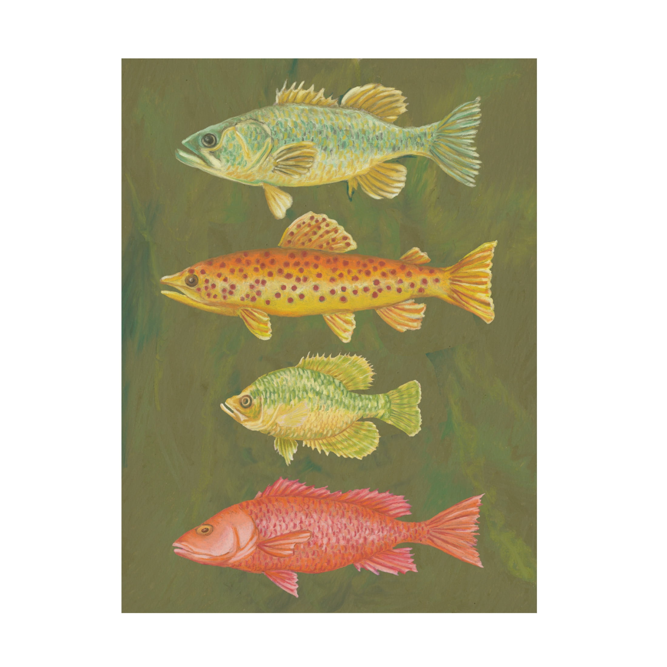 Canvas Wall Art - Andrea Strongwater 'Fish Chart Loden' Wall Art for Living Room, Bedroom, or Office Décor by Trademark Fine Art - 24 x 32 Inches