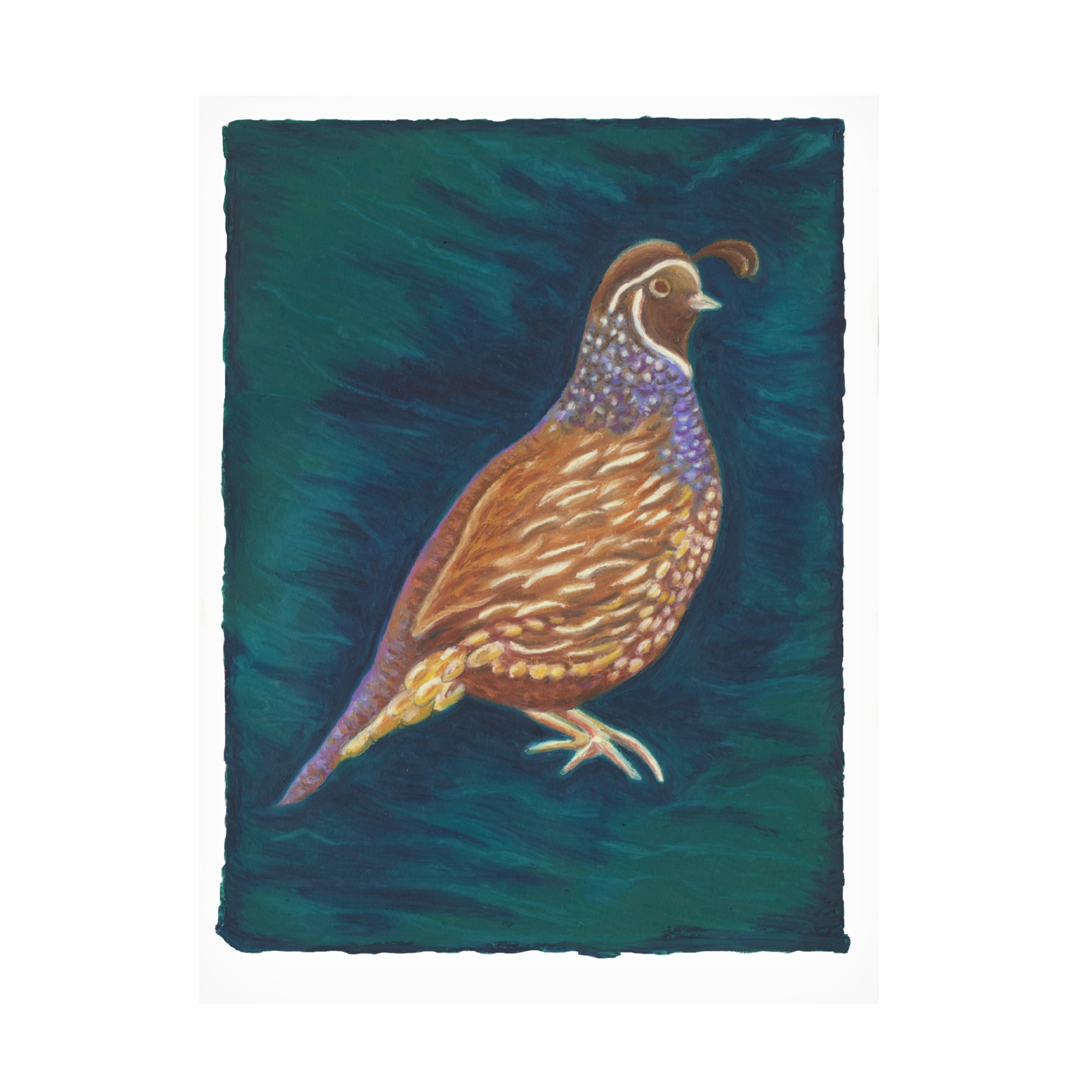 Canvas Wall Art - Andrea Strongwater 'Game Birds Partridge Boy' Wall Art for Living Room, Bedroom, or Office Décor by Trademark Fine Art - 35 x 47 Inches