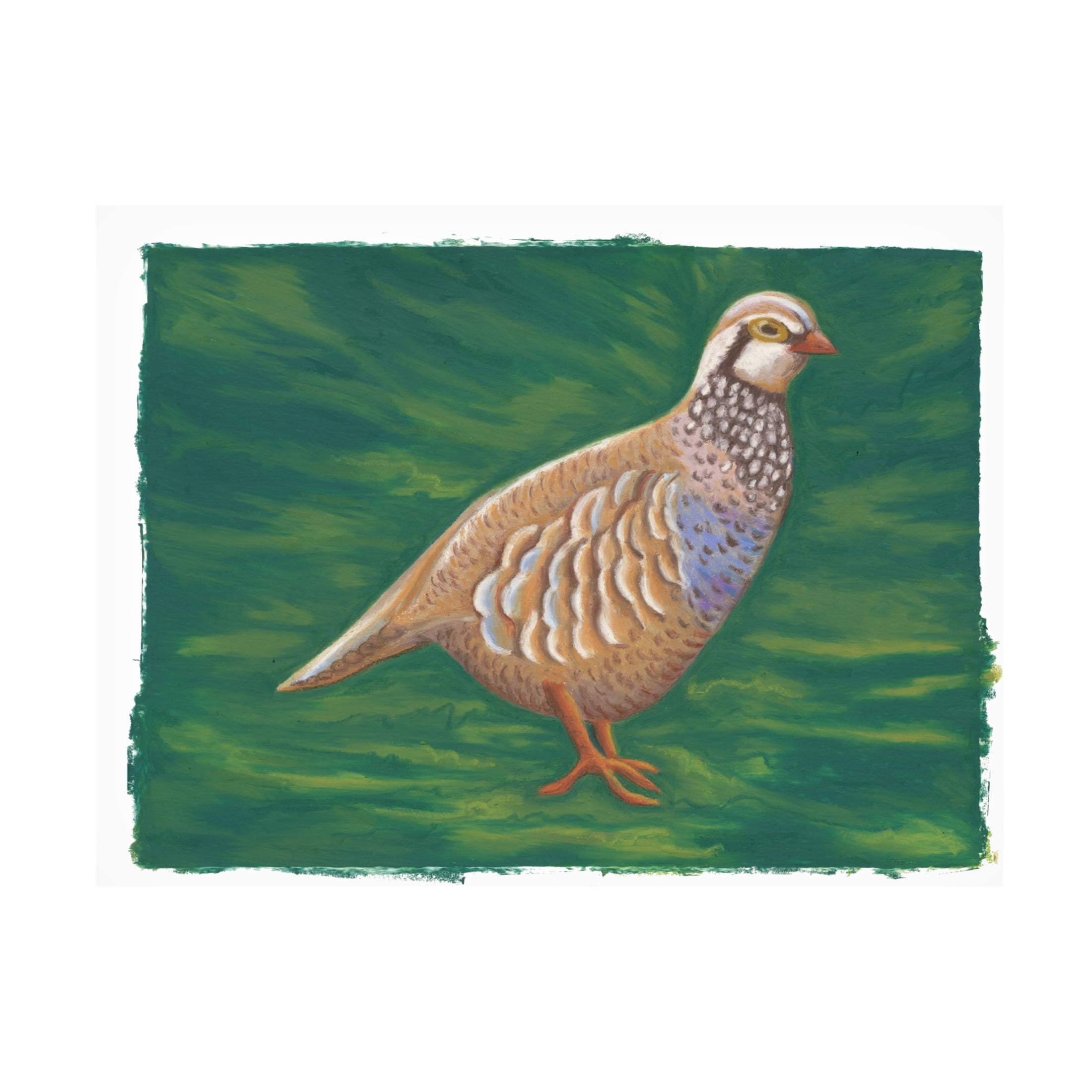 Canvas Wall Art - Andrea Strongwater 'Game Birds Partridge Girl' Wall Art for Living Room, Bedroom, or Office Décor by Trademark Fine Art - 19 x 14 Inches