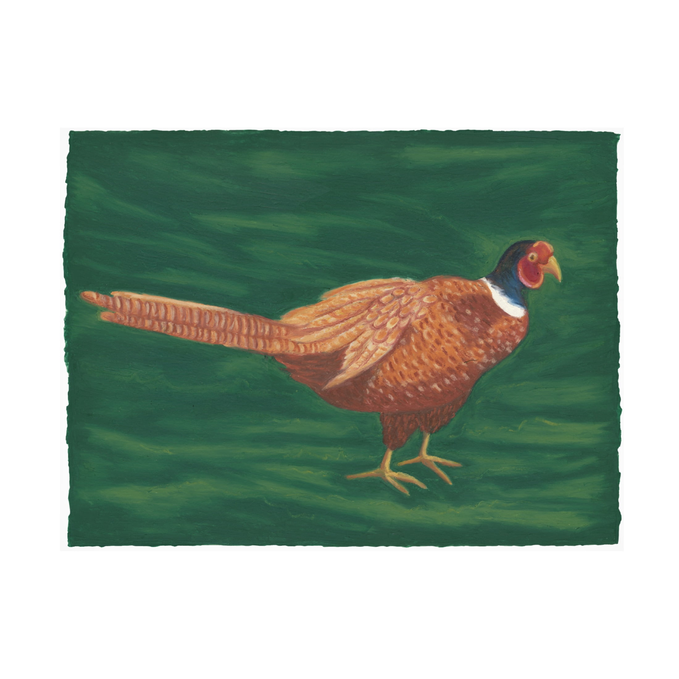 Canvas Wall Art - Andrea Strongwater 'Game Birds Pheasant' Wall Art for Living Room, Bedroom, or Office Décor by Trademark Fine Art - 19 x 14 Inches