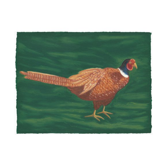 Canvas Wall Art - Andrea Strongwater 'Game Birds Pheasant' Wall Art for Living Room, Bedroom, or Office Décor by Trademark Fine Art - 19 x 14 Inches