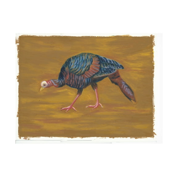 Canvas Wall Art - Andrea Strongwater 'Game Birds Turkey Girl' Wall Art for Living Room, Bedroom, or Office Décor by Trademark Fine Art - 19 x 14 Inches