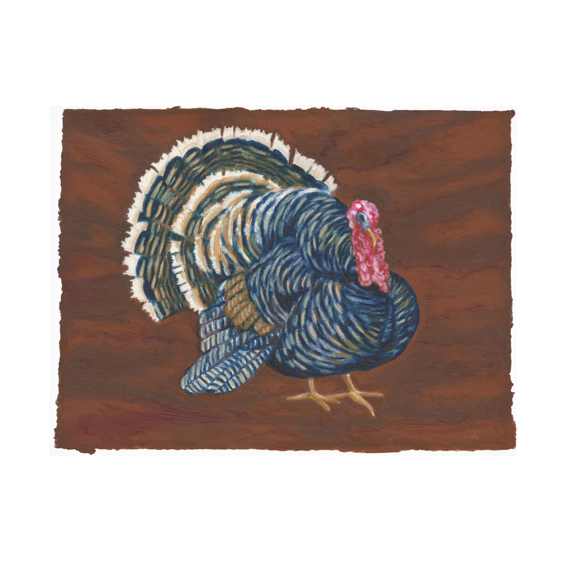 Canvas Wall Art - Andrea Strongwater 'Game Birds Turkey' Wall Art for Living Room, Bedroom, or Office Décor by Trademark Fine Art - 24 x 18 Inches