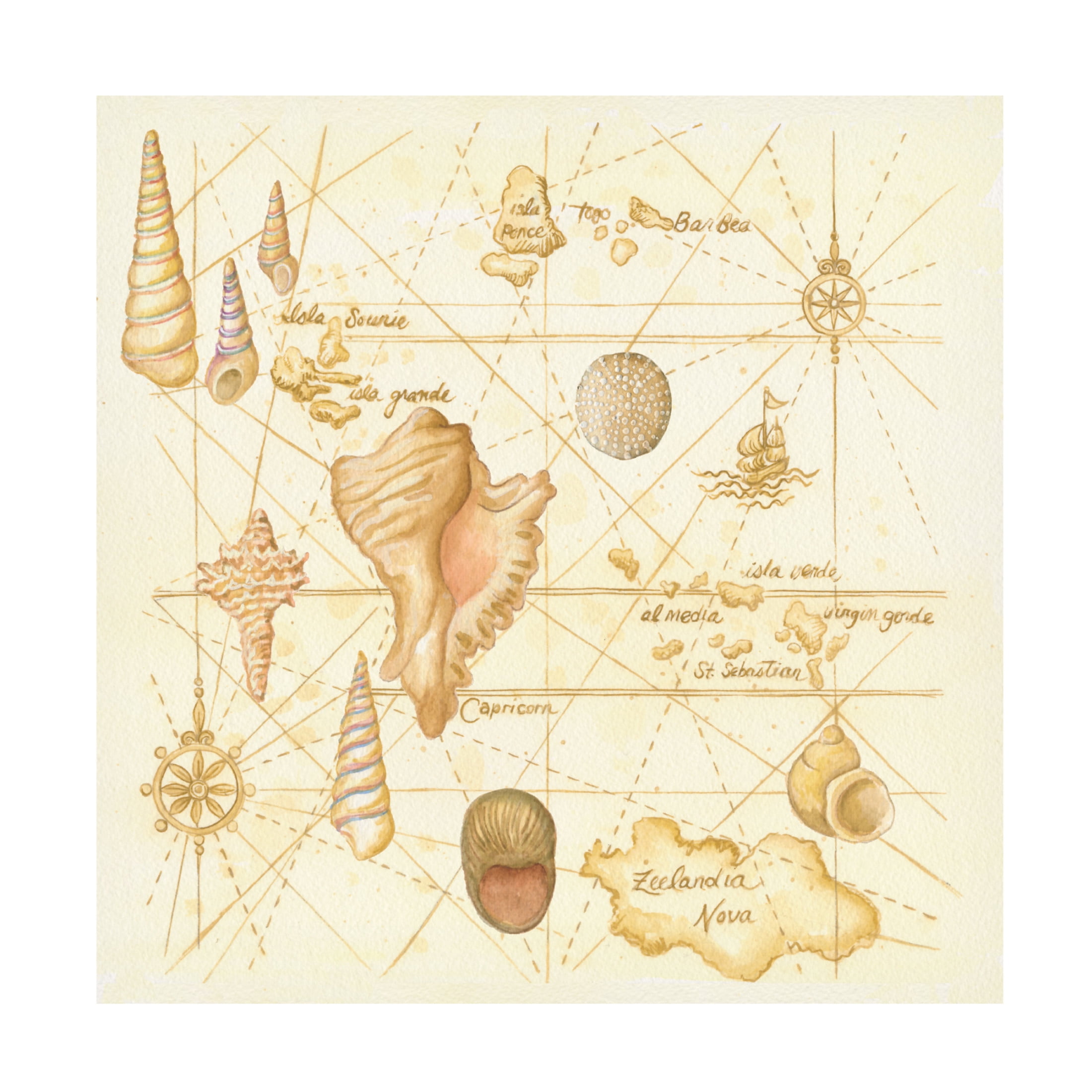 Canvas Wall Art - Andrea Strongwater 'Map Painted W Shells' Wall Art for Living Room, Bedroom, or Office Décor by Trademark Fine Art - 24 x 24 Inches