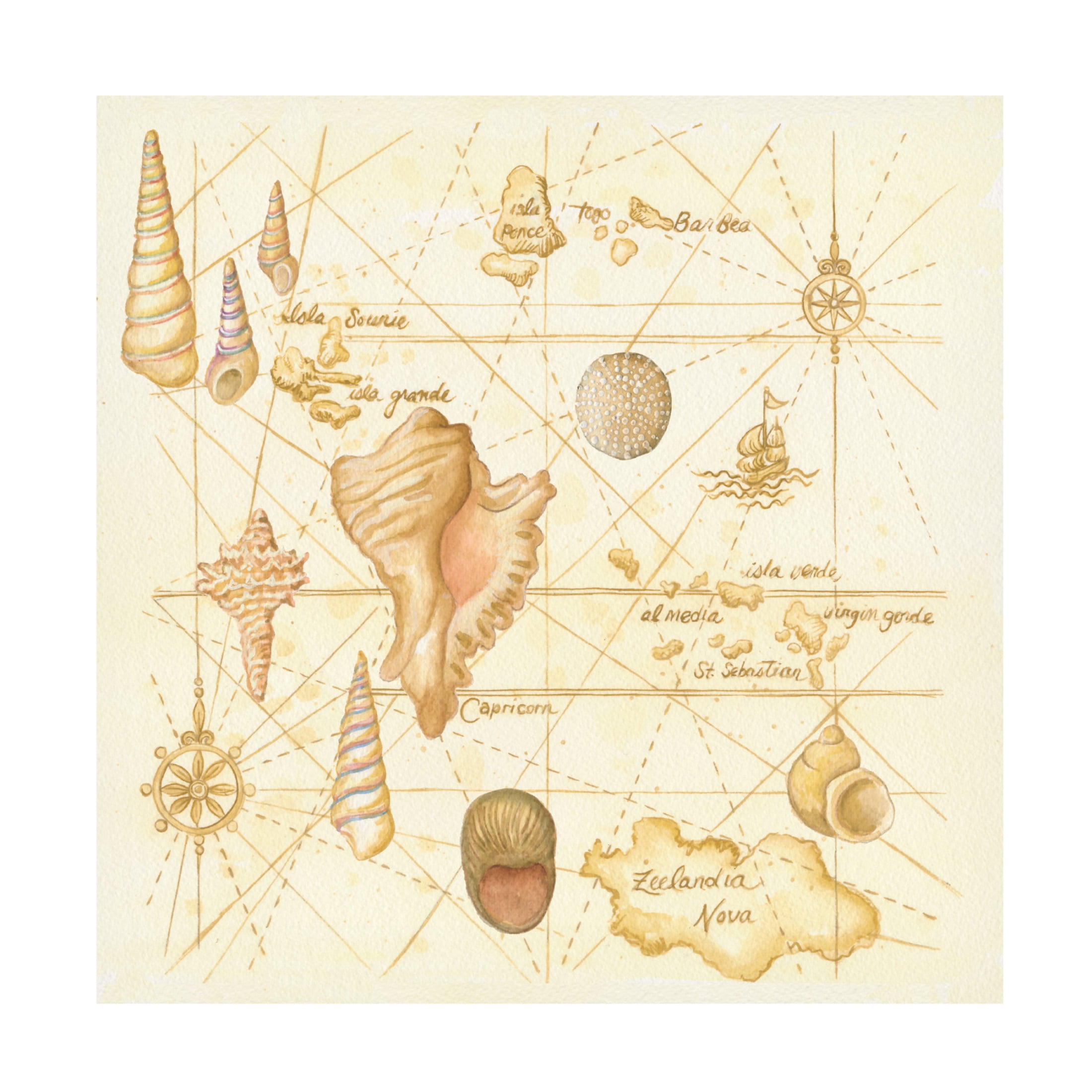 Canvas Wall Art - Andrea Strongwater 'Map Painted W Shells' Wall Art for Living Room, Bedroom, or Office Décor by Trademark Fine Art - 35 x 35 Inches