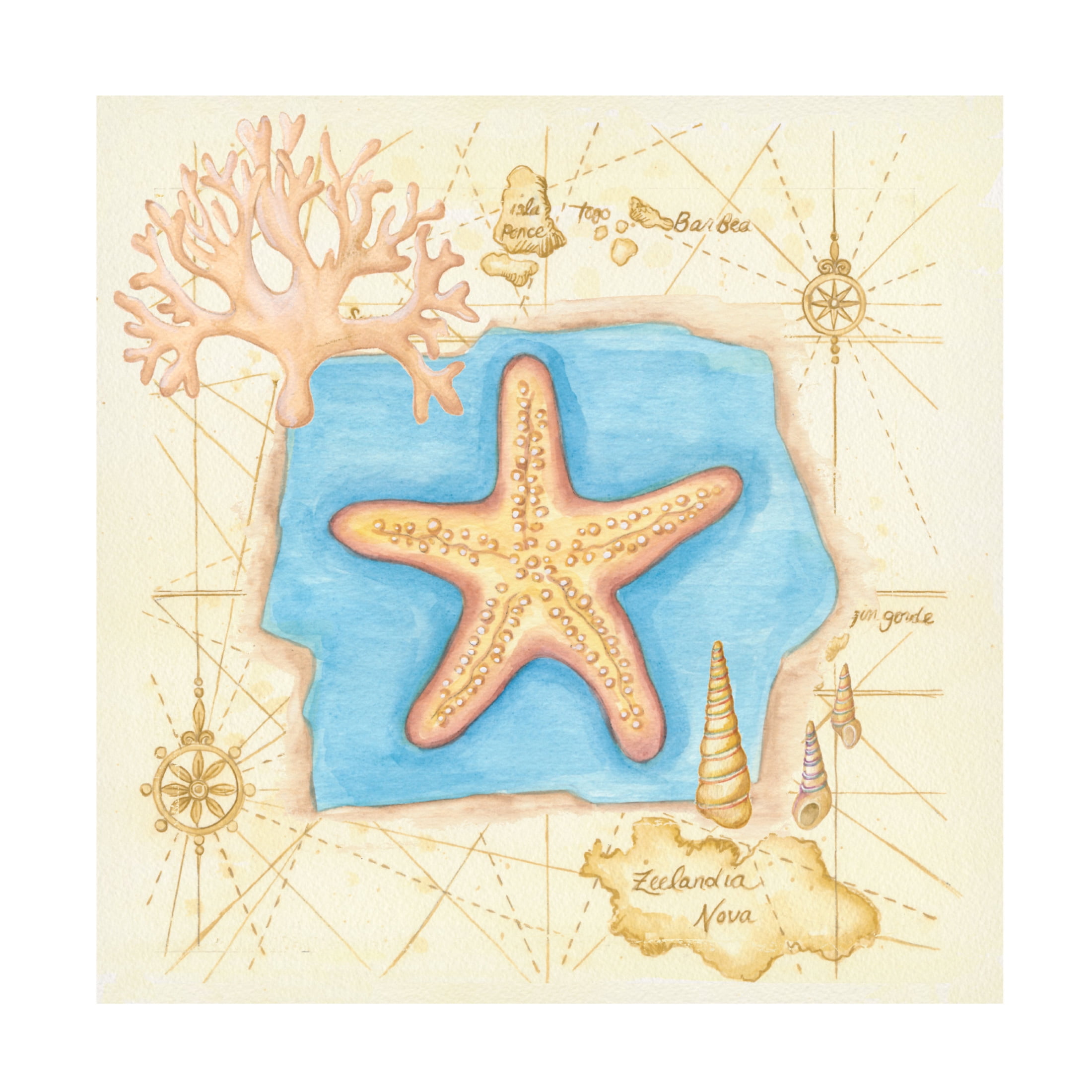 Canvas Wall Art - Andrea Strongwater 'Star Fish W Map' Wall Art for Living Room, Bedroom, or Office Décor by Trademark Fine Art - 35 x 35 Inches