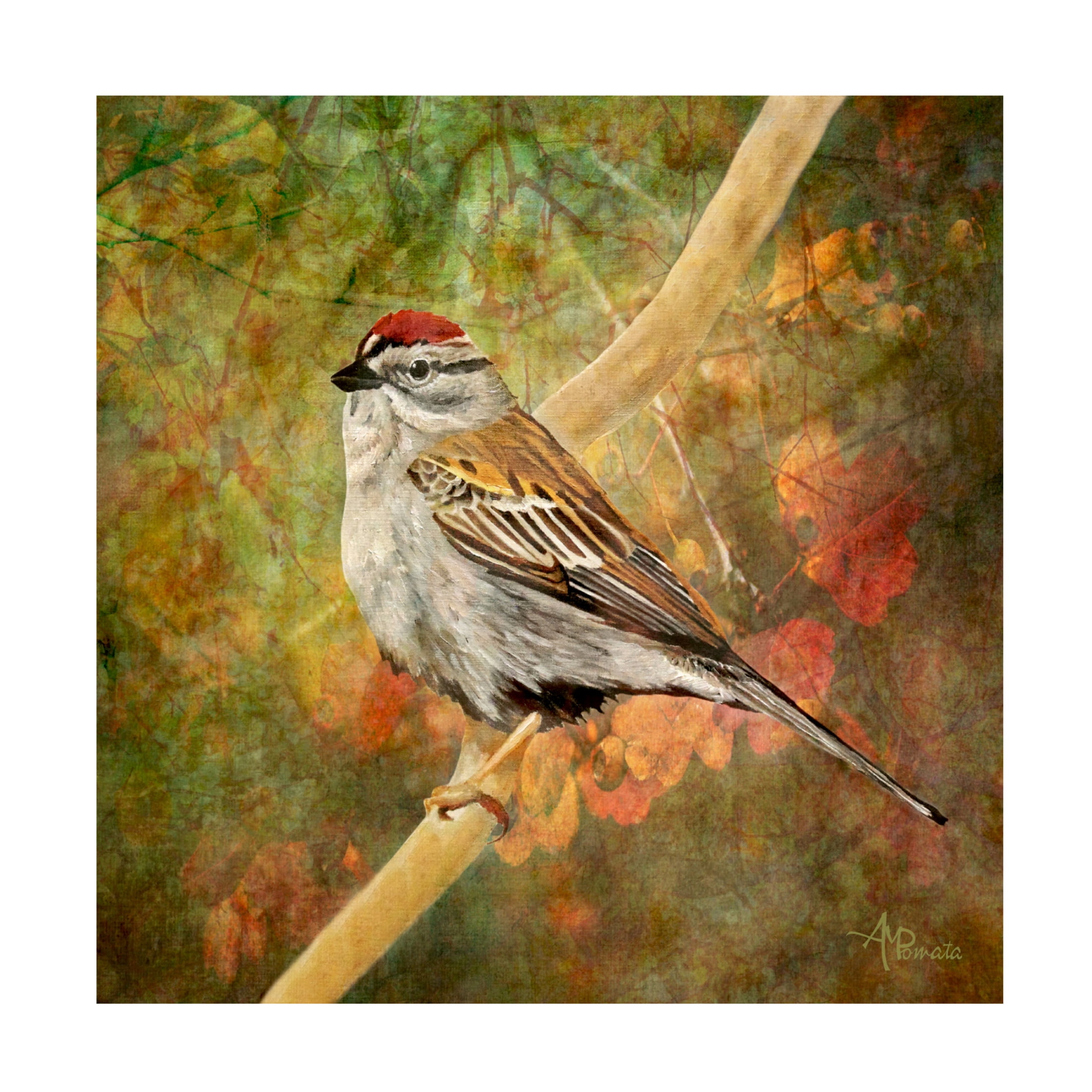 Canvas Wall Art - Angeles M. Pomata 'Immersed In The Forest' Wall Art for Living Room, Bedroom, or Office Décor by Trademark Fine Art - 18 x 18 Inches