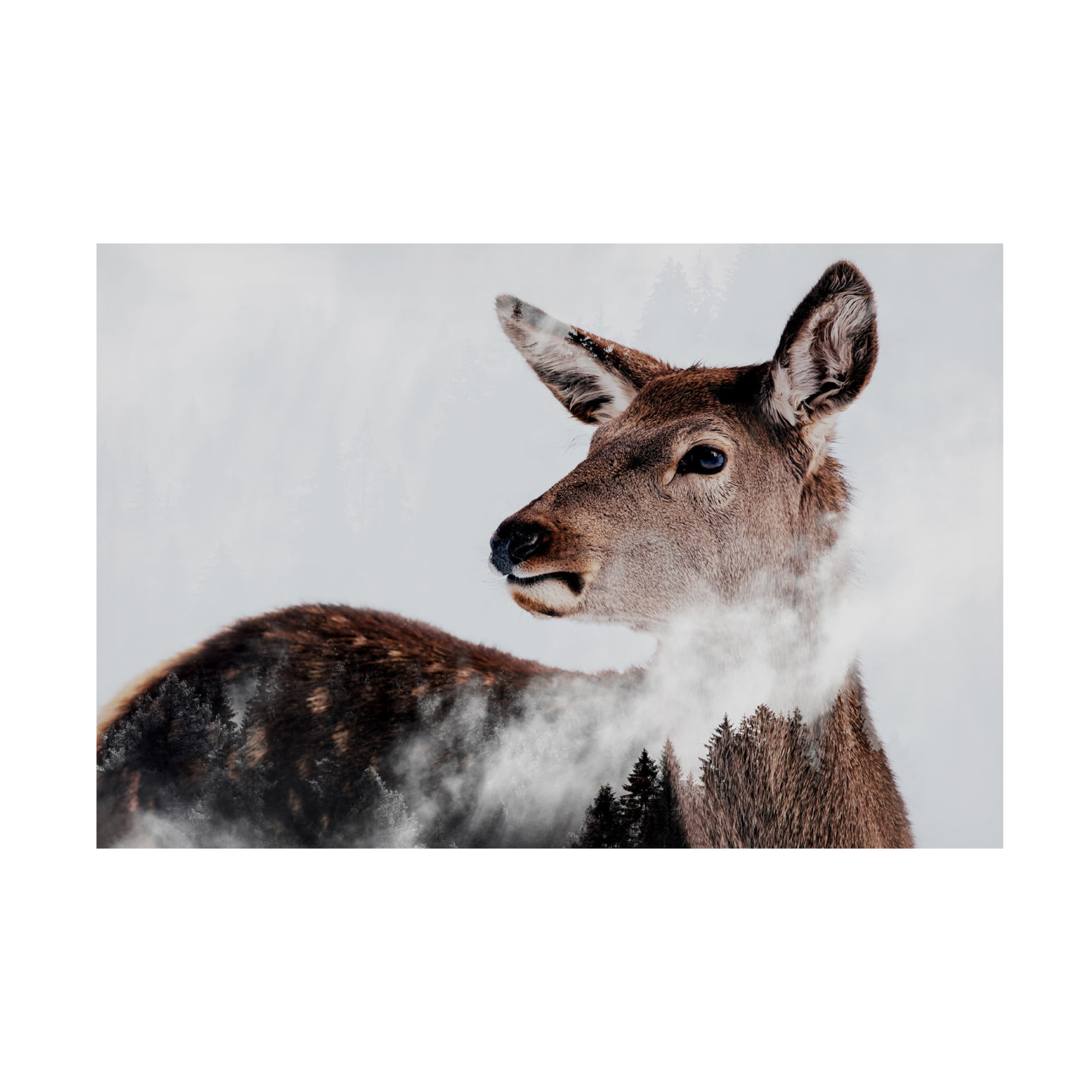 Canvas Wall Art - Angyalosi Beata 'Breathe' Wall Art for Living Room, Bedroom, or Office D?cor by Trademark Fine Art - 24 x 16 Inches