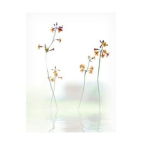 Canvas Wall Art - Anna Cseresnjes 'Petite Fleur   ' Wall Art for Living Room, Bedroom, or Office D?cor by Trademark Fine Art - 14 x 19 Inches