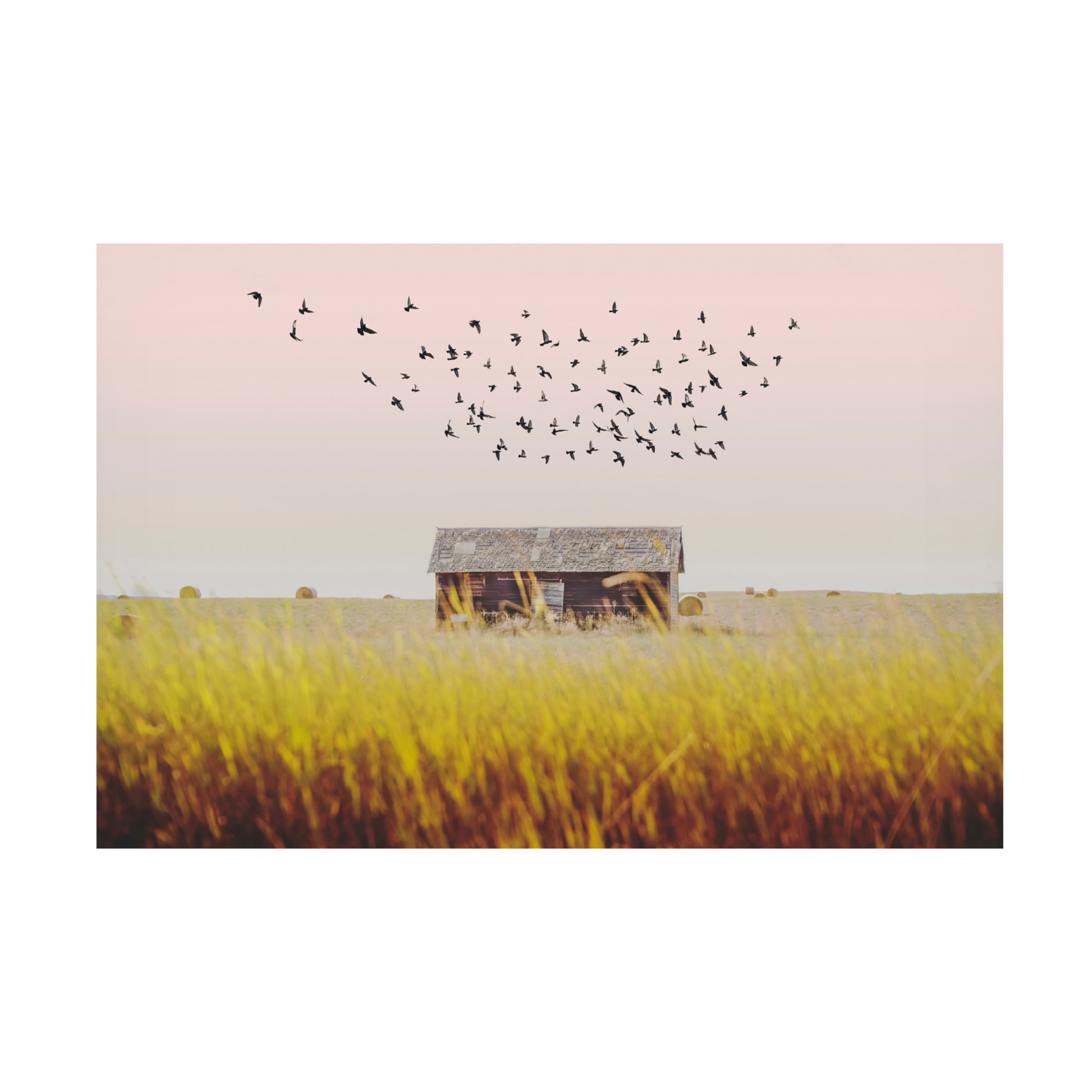 Canvas Wall Art - Annie Bailey Art 'Harvest Barn' Wall Art for Living Room, Bedroom, or Office Décor by Trademark Fine Art - 32 x 22 Inches