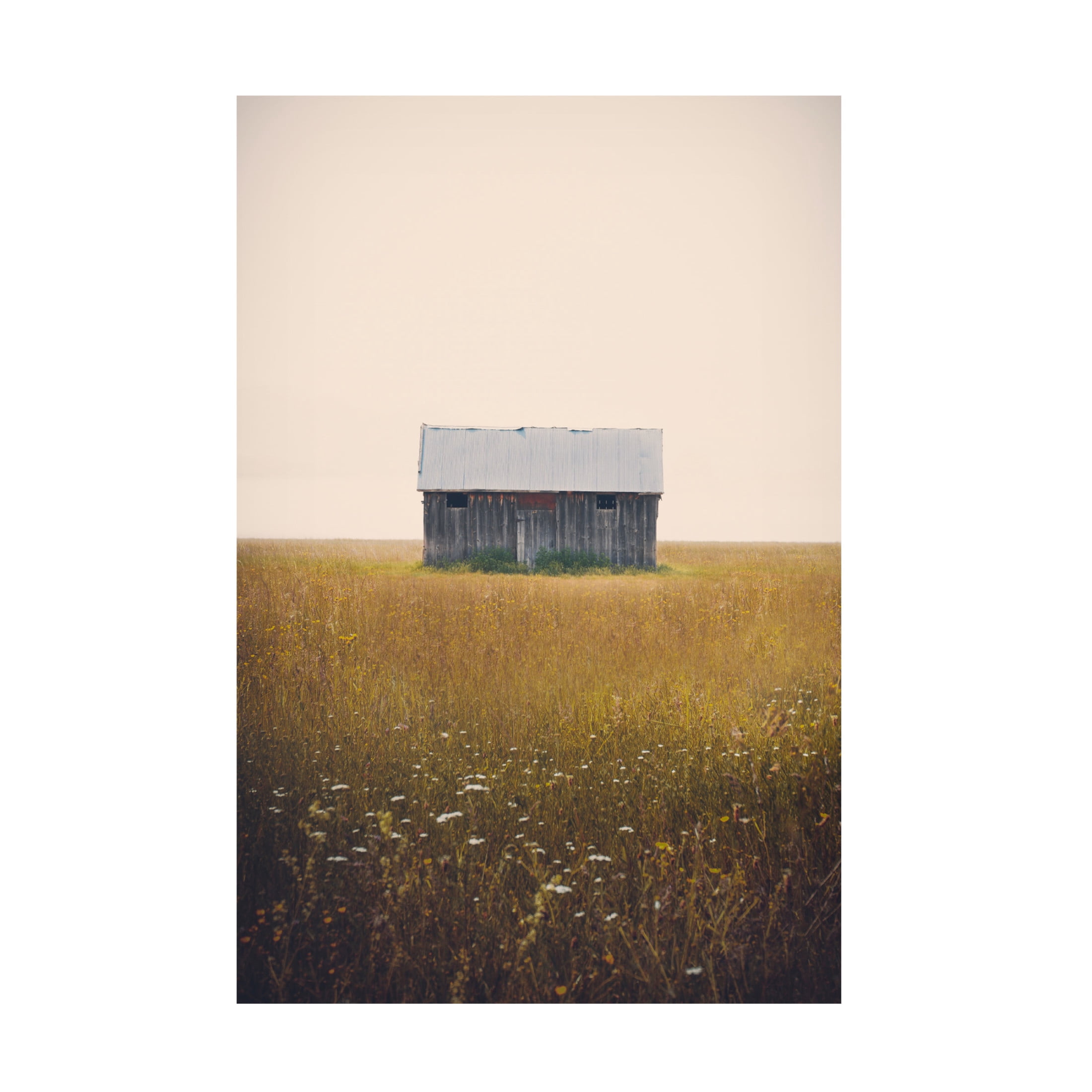 Canvas Wall Art - Annie Bailey Art 'Music For Silence' Wall Art for Living Room, Bedroom, or Office Décor by Trademark Fine Art - 12 x 19 Inches