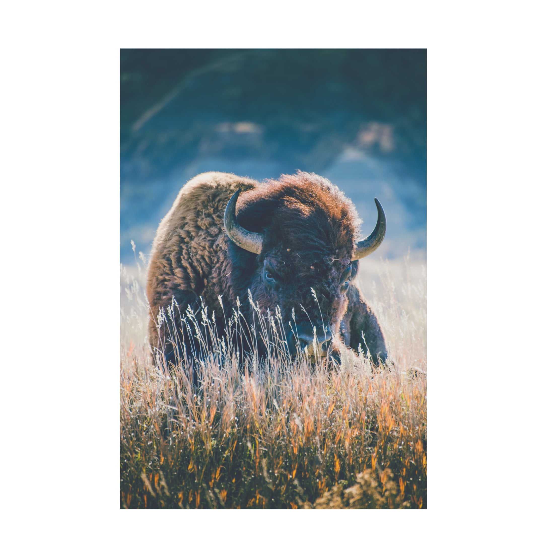 Canvas Wall Art - Annie Bailey Art 'Quiet Season' Wall Art for Living Room, Bedroom, or Office Décor by Trademark Fine Art - 12 x 19 Inches