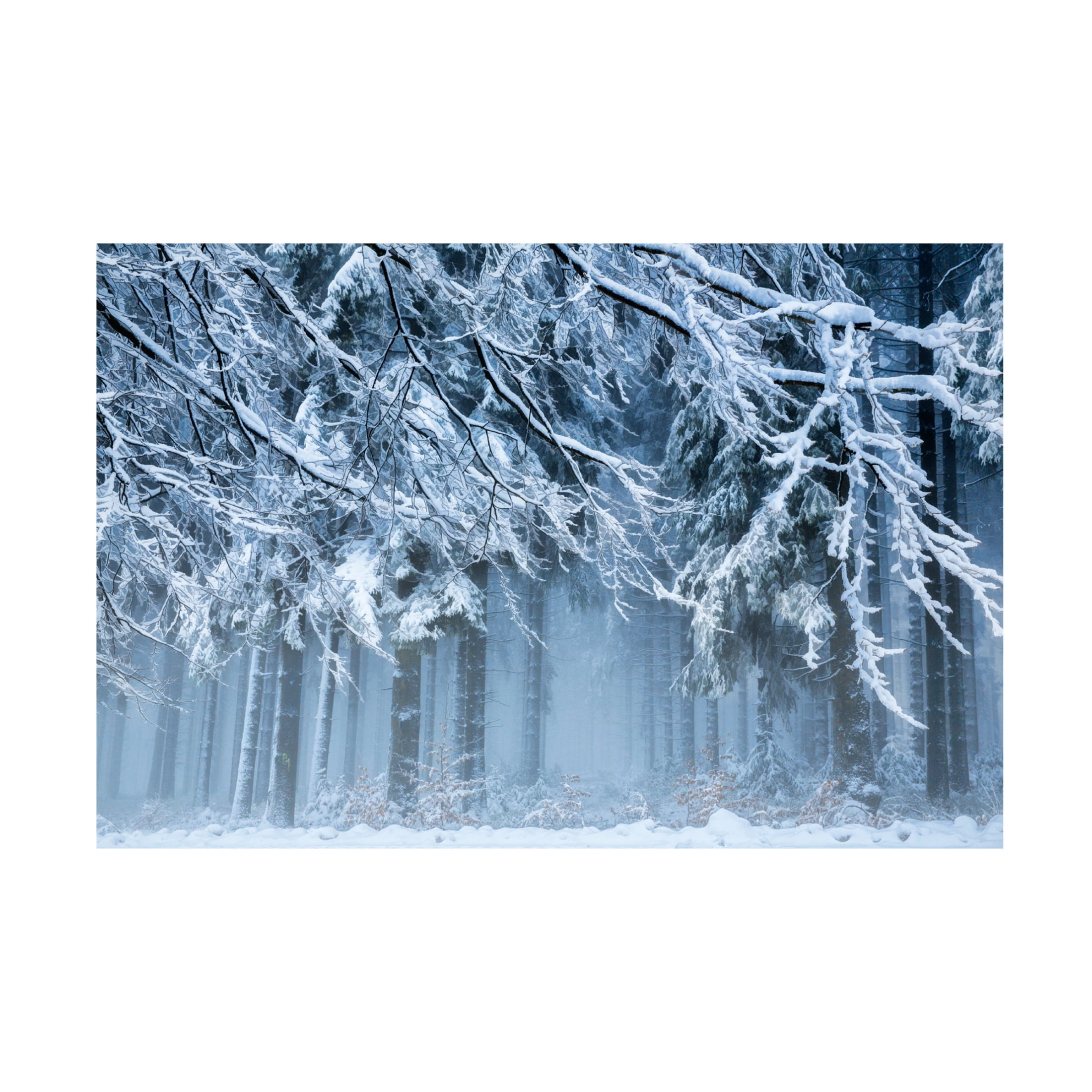 Canvas Wall Art - Anton van Dongen 'Snowworld' Wall Art for Living Room, Bedroom, or Office Décor by Trademark Fine Art - 24 x 16 Inches