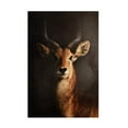 thumbnail image 1 of Canvas Wall Art - Antonio Grambone 'Antelope Still' Wall Art for Living Room, Bedroom, or Office Décor by Trademark Fine Art - 22 x 32 Inches, 1 of 4