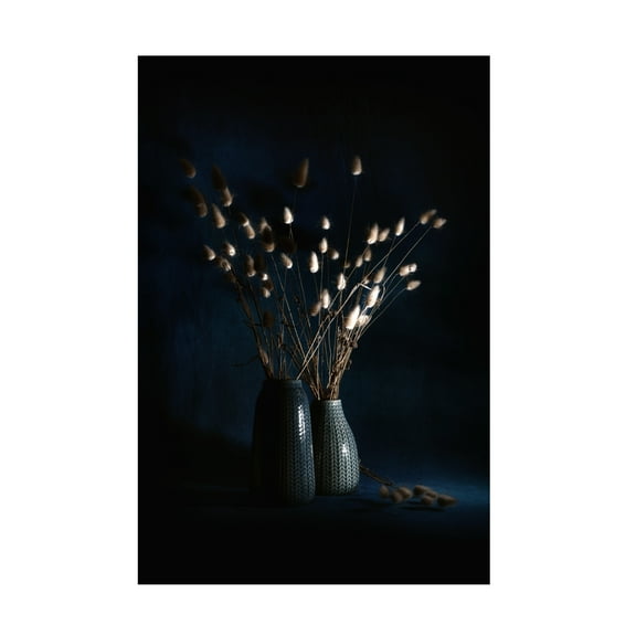 Canvas Wall Art - Antonio Grambone 'Arranged Floral' Wall Art for Living Room, Bedroom, or Office Décor by Trademark Fine Art - 12 x 19 Inches