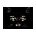 thumbnail image 1 of Canvas Wall Art - Antonio Grambone 'Black Cat Portrait' Wall Art for Living Room, Bedroom, or Office Décor by Trademark Fine Art - 24 x 18 Inches, 1 of 4