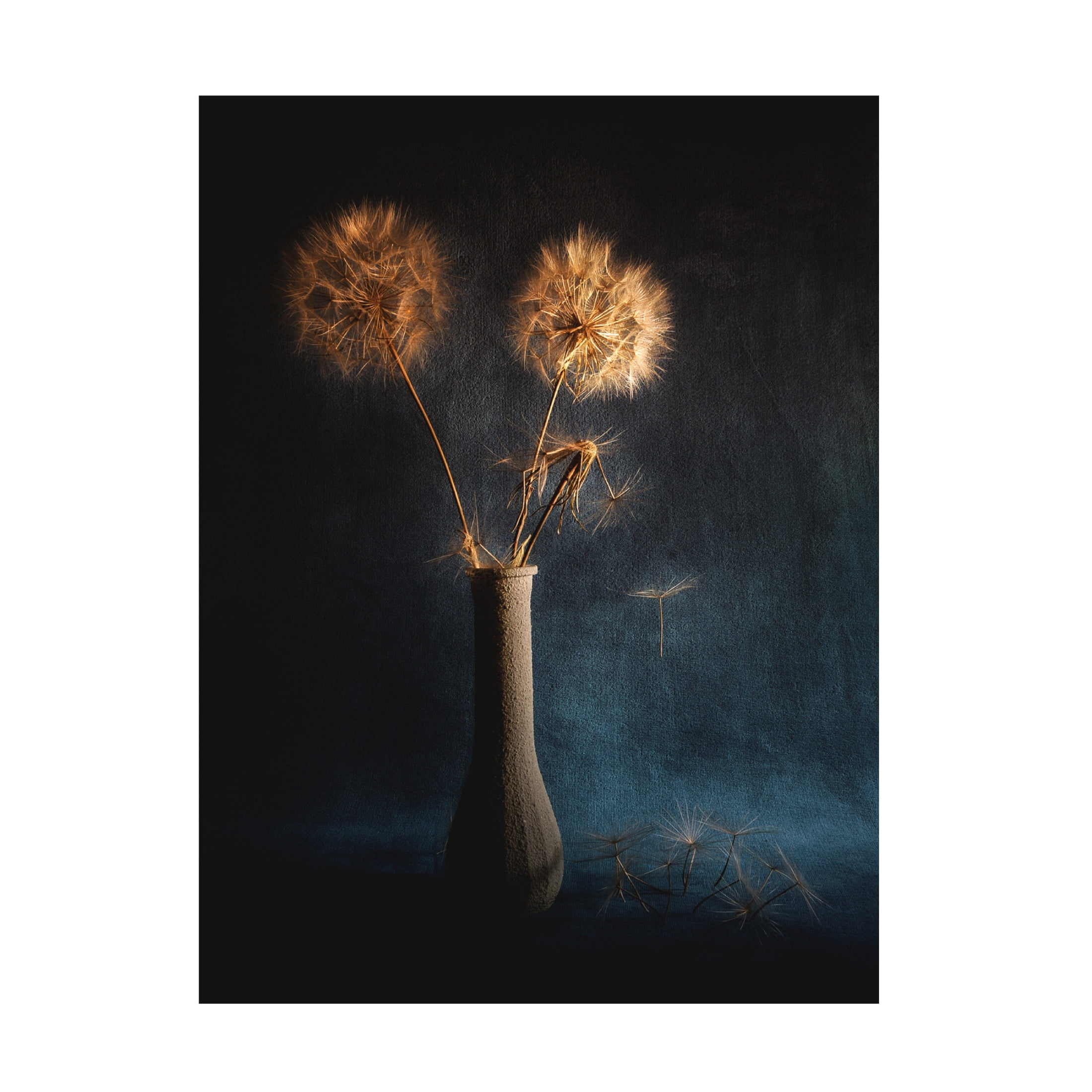Canvas Wall Art - Antonio Grambone 'Botanical' Wall Art for Living Room, Bedroom, or Office Décor by Trademark Fine Art - 14 x 19 Inches