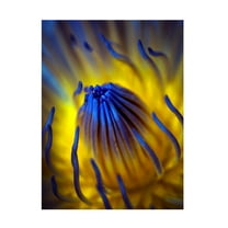 Canvas Wall Art - Antonyus Bunjamin Abe 'Blow Up' Wall Art for Living Room, Bedroom, or Office D?cor by Trademark Fine Art - 14 x 19 Inches