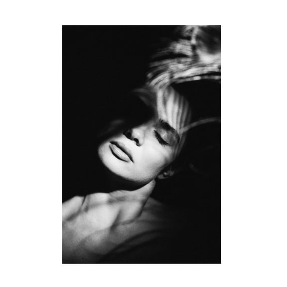 Canvas Wall Art - Artem Vasilenko 'Shadow Portrait' Wall Art for Living Room, Bedroom, or Office D?cor by Trademark Fine Art - 16 x 24 Inches