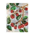 thumbnail image 1 of Canvas Wall Art - Artpoptart 'Berries' Wall Art for Living Room, Bedroom, or Office Décor by Trademark Fine Art - 18 x 24 Inches, 1 of 4