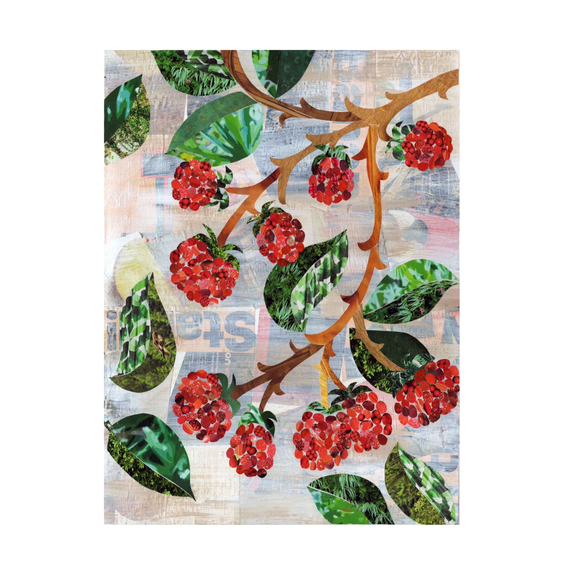 Canvas Wall Art - Artpoptart 'Berries' Wall Art for Living Room, Bedroom, or Office Décor by Trademark Fine Art - 35 x 47 Inches