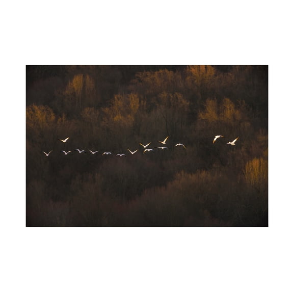 Canvas Wall Art - ??? / Austin 'Morning Mood' Wall Art for Living Room, Bedroom, or Office Décor by Trademark Fine Art - 24 x 16 Inches