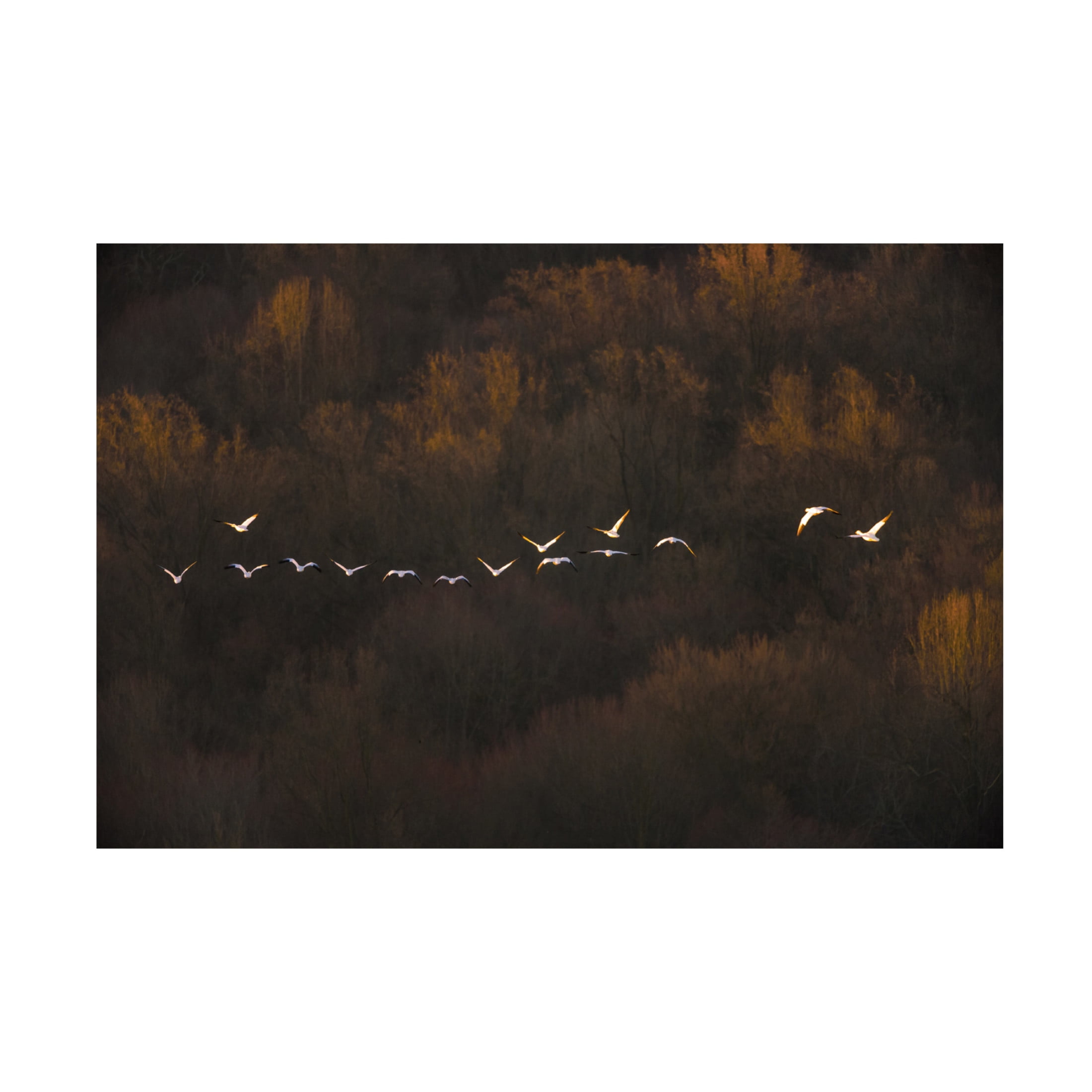 Canvas Wall Art - ??? / Austin 'Morning Mood' Wall Art for Living Room, Bedroom, or Office Décor by Trademark Fine Art - 47 x 30 Inches