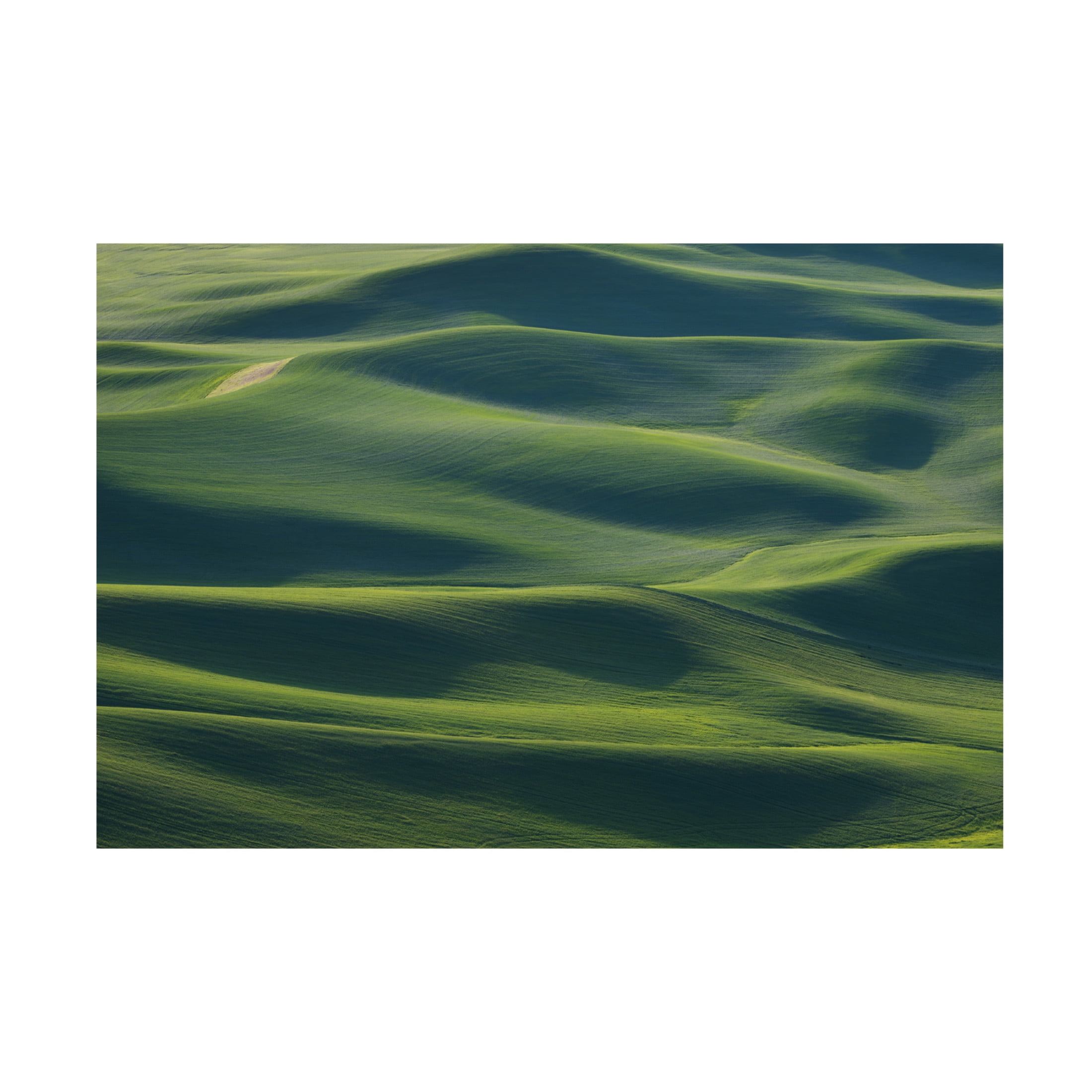 Canvas Wall Art - ??? / Austin 'The EarthS Fine Skin' Wall Art for Living Room, Bedroom, or Office D?cor by Trademark Fine Art - 19 x 12 Inches