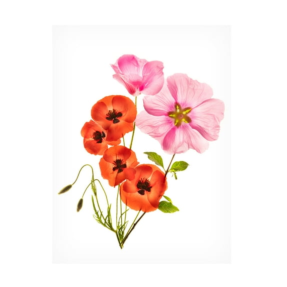 Canvas Wall Art - Azriel Yakubovitch 'Flower Composition Iii' Wall Art for Living Room, Bedroom, or Office Décor by Trademark Fine Art - 14 x 19 Inches