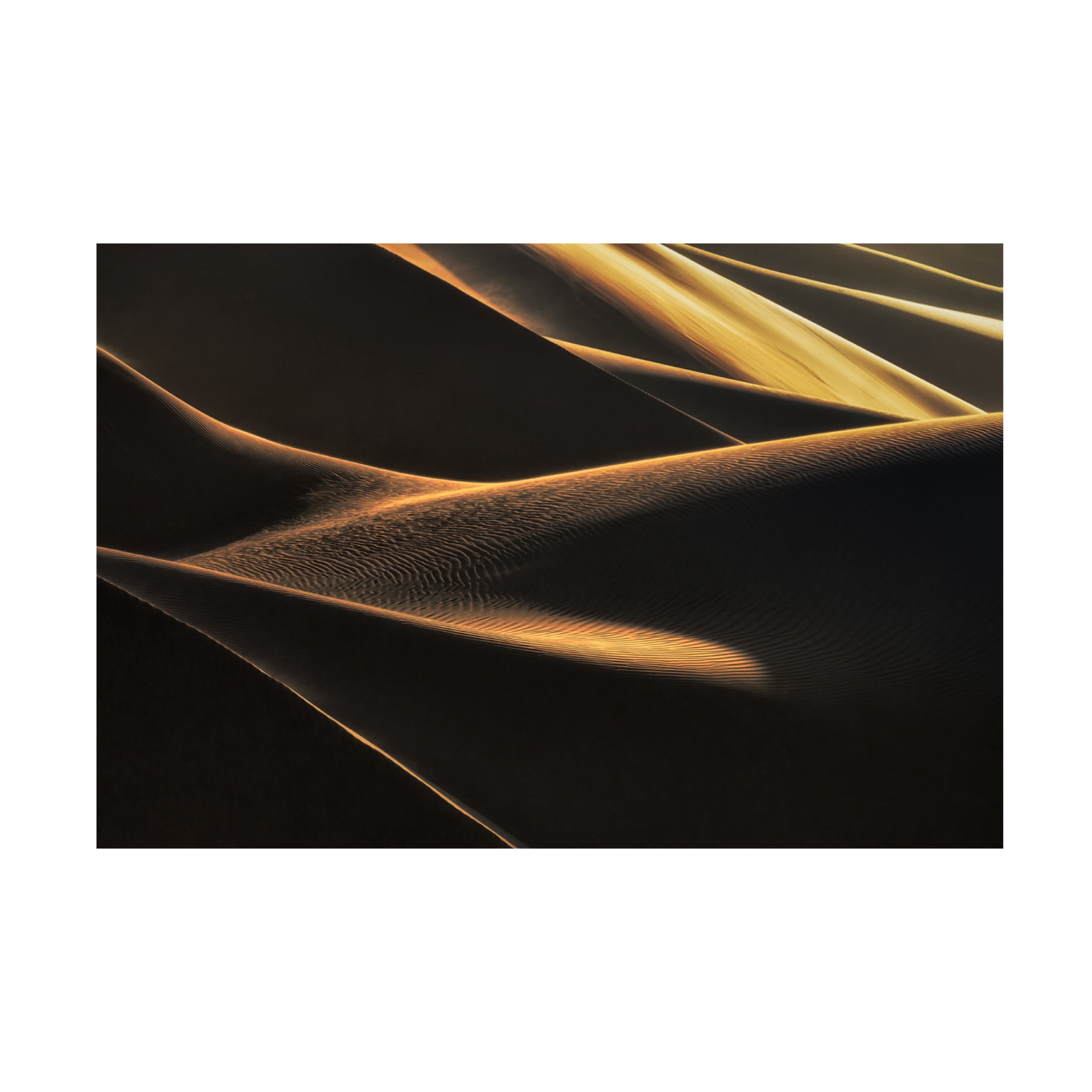 Canvas Wall Art - Babak Mehrafshar EFIAP 'Light Caress' Wall Art for Living Room, Bedroom, or Office Décor by Trademark Fine Art - 32 x 22 Inches